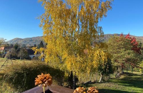 Corbeni House | Pension Irina