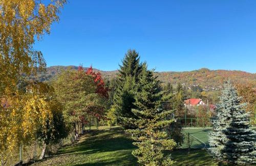 Corbeni House | Pension Irina