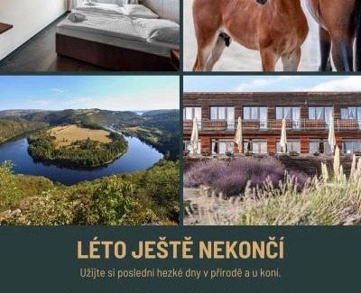 Zduchovice House | Pension Jezerná
