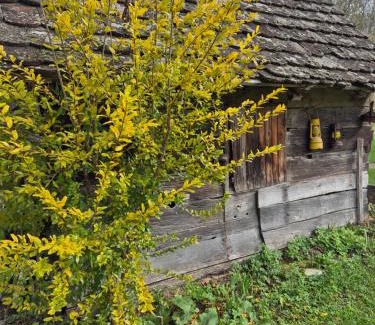 Lonja House | Pension Sava Turizam