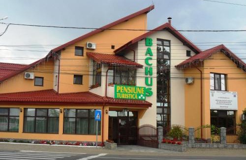 Piatra Neamt House | Pensiunea Bachus