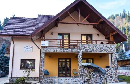 Damuc House | Pensiunea Bucur