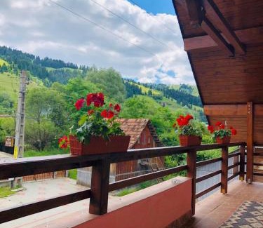 Damuc House | Pensiunea Bucur