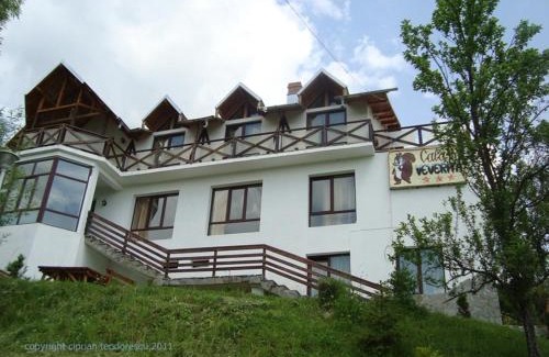 Tesila House | Pensiunea Cabana Veverita Valea Doftanei