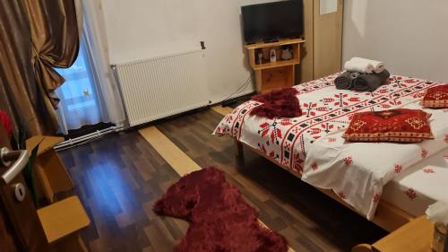 Saru Dornei House | Pensiunea Casa Alex