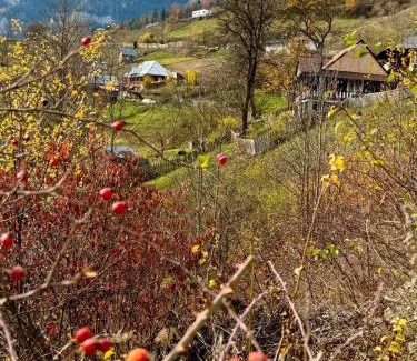 Bicaz-Chei House | Pensiunea Cheile Șugăului