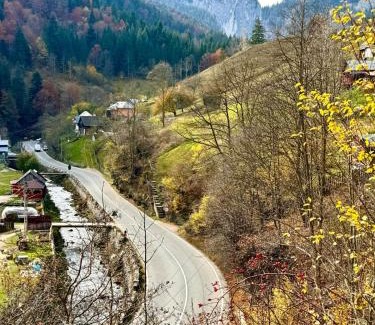 Bicaz-Chei House | Pensiunea Cheile Șugăului