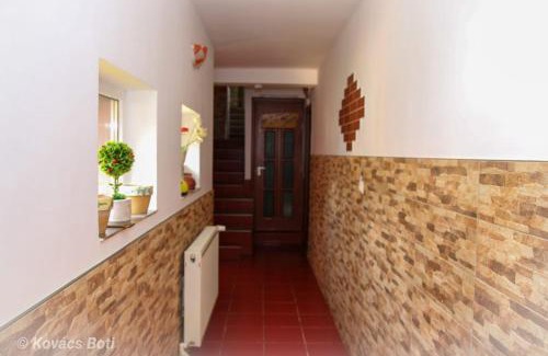 Baile Tusnad House | Pensiunea Lala