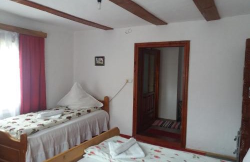 Sucevita House | Pensiunea Letitia