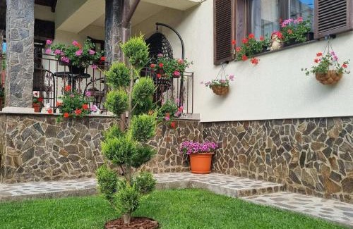 Corbeni House | Pensiunea Select
