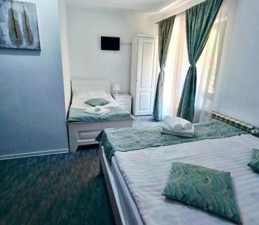Sugag House | Pensiunea Silva Dobra