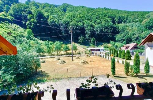 Sugag House | Pensiunea Silva Dobra
