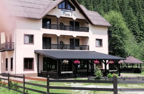 Saru Dornei House | Pensiunea Tora