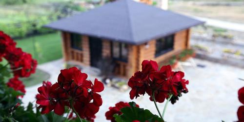 Bucsoaia House | Pensiunea Varvara de Bucovina