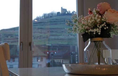 Staufen im Breisgau Apartment | Penthouse Burgblick with a fantastic view
