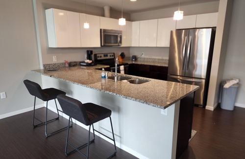 Downtown Cleveland Condo | Penthouse In The Flats