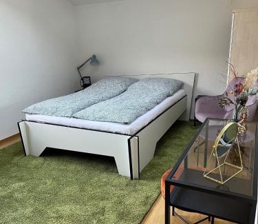 Bad Mergentheim Apartment | Penthouse perfekt für Teams, Familien und Gruppen