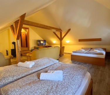 Sluknov House | Penzion Čítkův Mlýn