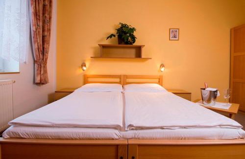Lomnice nad Luznici House | Penzion Bohemia