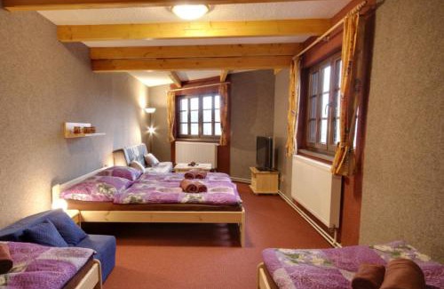 Vysoke nad Jizerou House | PENZION HARRY na sjezdovce KRKONOŠE