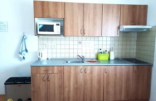 Cervena Voda House | Penzion Ječmínek