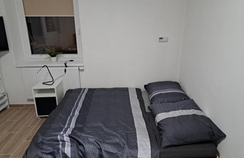 Lovosice Apartment | Penzion Labužník