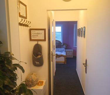 Kostelec nad Orlici Apartment | Penzion mezi zámky