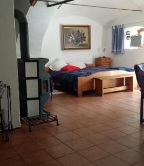 Stare Mesto Apartment | Penzion Na koštěti - pejsci zdarma