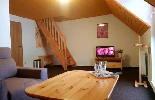 Loucna nad Desnou House | Penzion Přemyslov