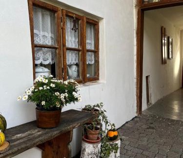 Sadek Apartment | Penzion pod Březinkou