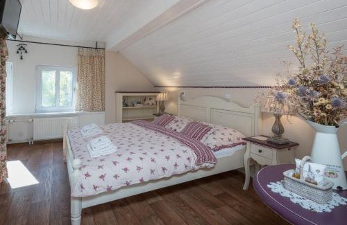 Karlovy Dvory Bed & Breakfast | Penzion Stříbrný vítr