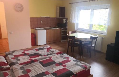 Hermanicky Apartment | Penzion u ORFA