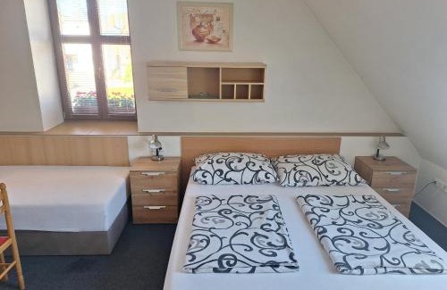 Jablonne nad Orlici House | Penzion U Vorlíčků