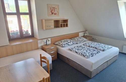Jablonne nad Orlici House | Penzion U Vorlíčků