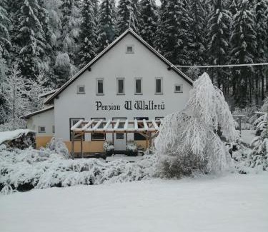 Josefov Dul House | Penzion U Walterů