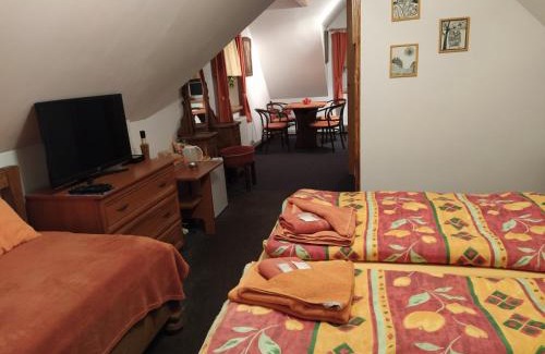 Rychnov nad Kneznou House | Penzion v chaloupce