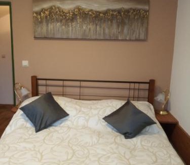 Marianske Lazne House | Penzion Villa Marion