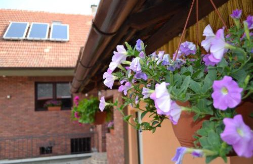 Velke Nemcice House | Penzion Vinařský dvorek