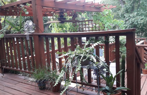 Jefferson House | Perfect place for isolation