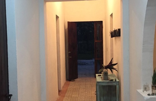 Emerald Coast House | Pet- friendly, 6 miles from the beach, just chill.