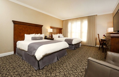 Rochester Hotel | Pet-friendly Accommodation with a Blend of Modern Comfort and Old-World Charm