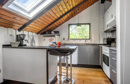 Amtoft House | Pet friendly home in Vesløs with WiFi