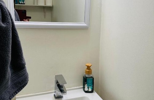 Centennial Park House | Pet Friendly, Private Basement, near Park &Airport