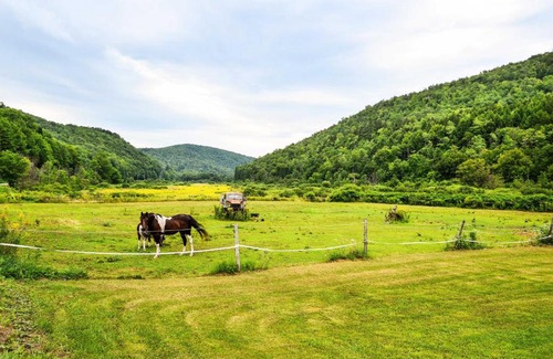 Granville House | Pet-Friendly Roxbury Farmhouse on 350 Acres!