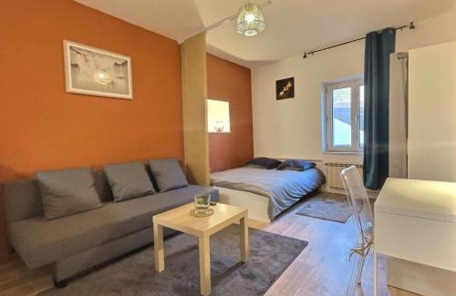 Saint-Avold Apartment | Petit cocon