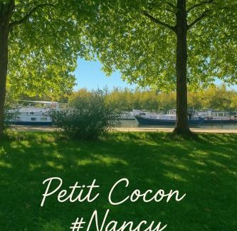 Rives de Meurthe Apartment | Petit cocon proche de Stanislas