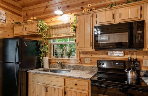 Murphy Cabin | Pets Welcomed at this Colorful Sunflower Cabin!