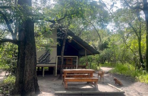 Maun Ski Chalet | Phazama Farm