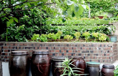 Yongsan-gu House | Photo Park Guesthouse