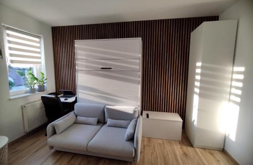 Piastow Apartment | Piastów Luna Room